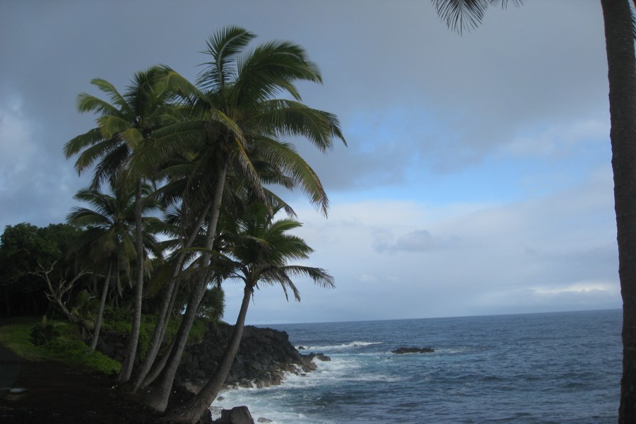 ../image/pretty shoreline near puna 1.jpg